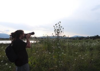 Svaka ptica se računa! Pridružite se obuci Ornitološkog društva „Naše ptice“